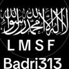 lmsfbadr313