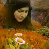 ummnoor5