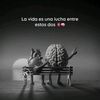 angelagarcia255