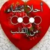nabhanalrubiae