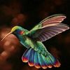 hummingbird.777