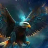 wwwvv346