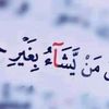 www.tiktok.commohamed593