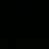luizpf10