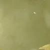 lilzrfn