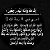 user7221843496