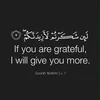 hajahmed02
