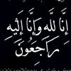 amrahmedshawky