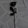 __ferland1