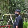 hafizdwipramono