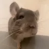 rrruuu_15