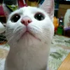 user61641608