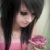 ursapphichoe