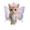 liaaww7