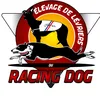 elevageduracingdog