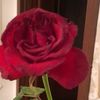 050_mylove