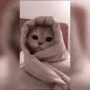 user02262187