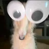 noctisteamo