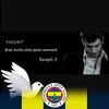 serhatgfb7