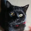 spookysquishbean