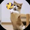 thedragonwarrior24