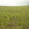 user342131770