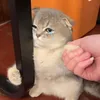 bigfullsun