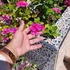 hajar elg