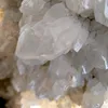 .lunghahin1