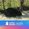 pawnqwn