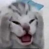 typaya_eblanka7890