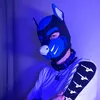 dimes_puppycz