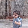 yossinachmani1