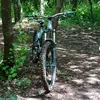 alfie_g.200