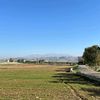 mohammady086