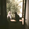 dasha85552