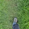 discoduc