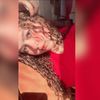 darling_calderonr