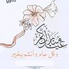 haninsayed27