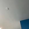 jaxon_804