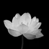 user008401336