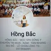 lebac20003