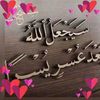 user809328316