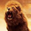aliwaleed447