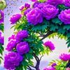 cloudia_3947