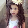 shex_x77