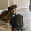 henry_n_rogans_dad