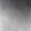 randomrandom4400