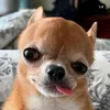 atutrr