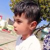 musa.rajpoot41